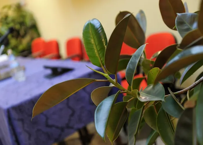 Bertusi 3* Porretta Terme