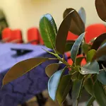 Bertusi 3* Porretta Terme