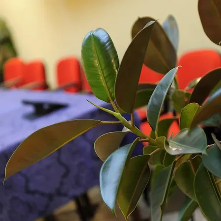 Bertusi 3* ポッレッタ・テルメ